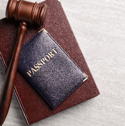 Immigration Law Mexico